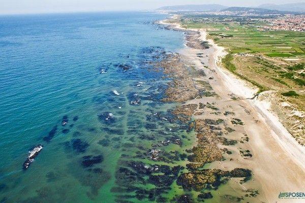Quinta Do Sobreiro Pensionat Vila Verde  Værelse billede